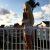 Çekmeköy Escort Bayan Betül - Image 2
