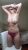 Sarıgazi Escort Gül - Image 2