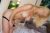 Maltepe Escort olgun Banu - Image 1