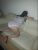 Bakırköy Escort Bayan Naz - Image 3