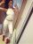 Beykoz Escort Burcu - Image 2